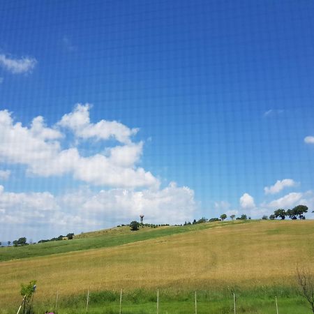 Agriturismo Bio Le 4 Stagioni Porrona Eksteriør bilde